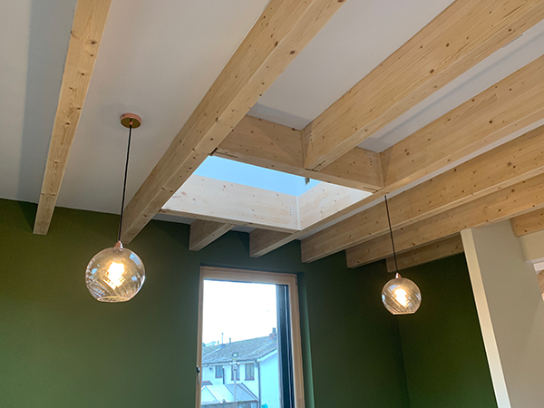 Larch House Passivhaus Roof natural light